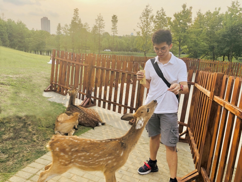 米兰的小铁匠的第一张照片--明溪征婚网